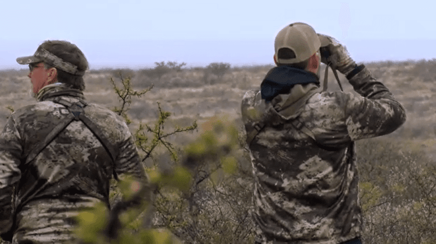 Spotting Wildlife: Using Binoculars to Enhance Your Tree Stand Photography Experience