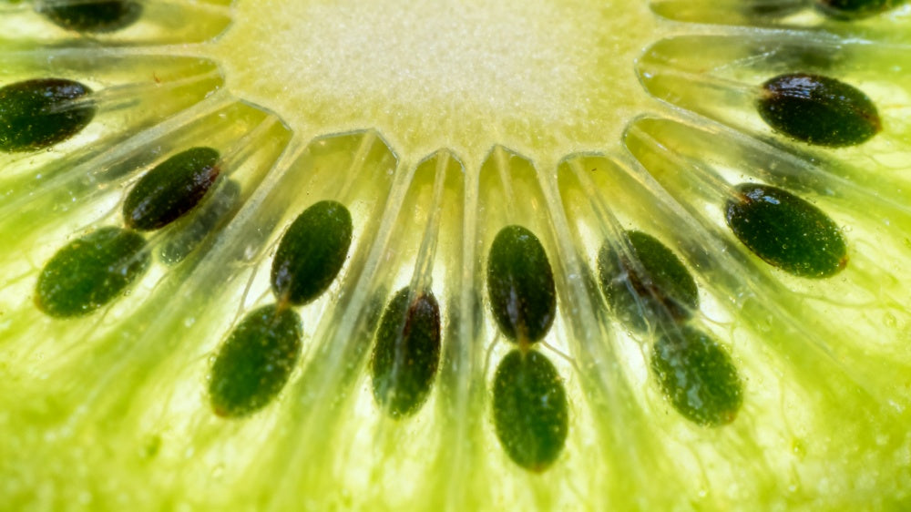 Close-up of a kiwi fruit slice showing green flesh and black seeds APEXEL TriScope 120X Microscope Lens Shoot