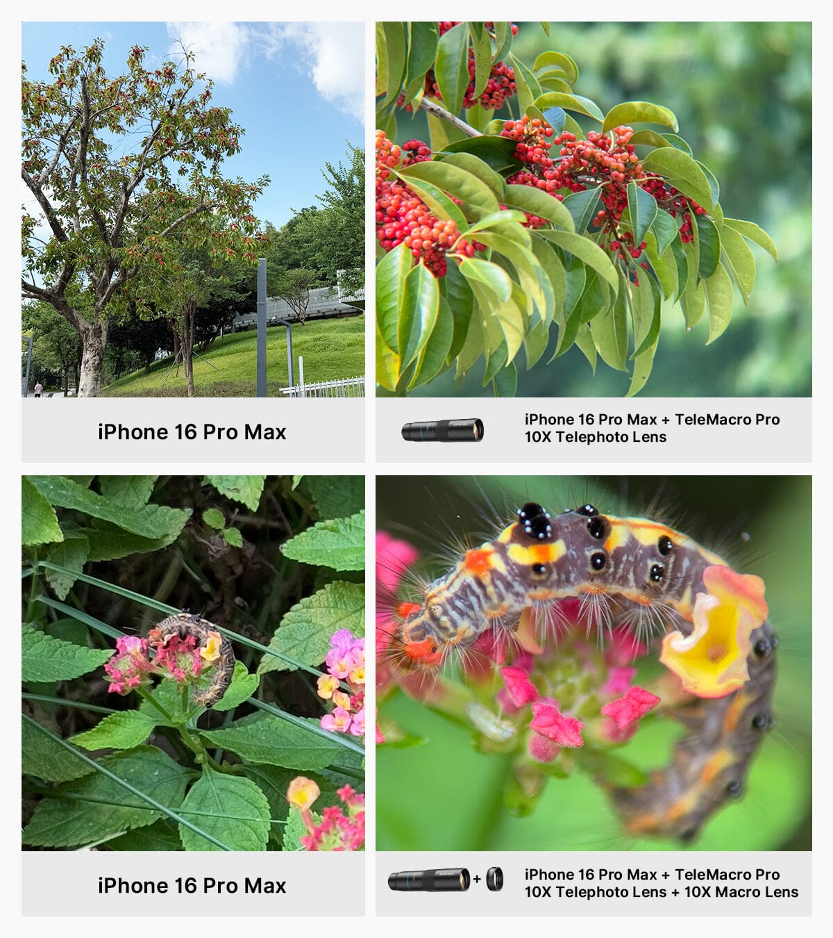 TeleMacro Pro 10X 2-in-1 Telephoto & Macro Lens Mobile Photography Accessories APEXEL