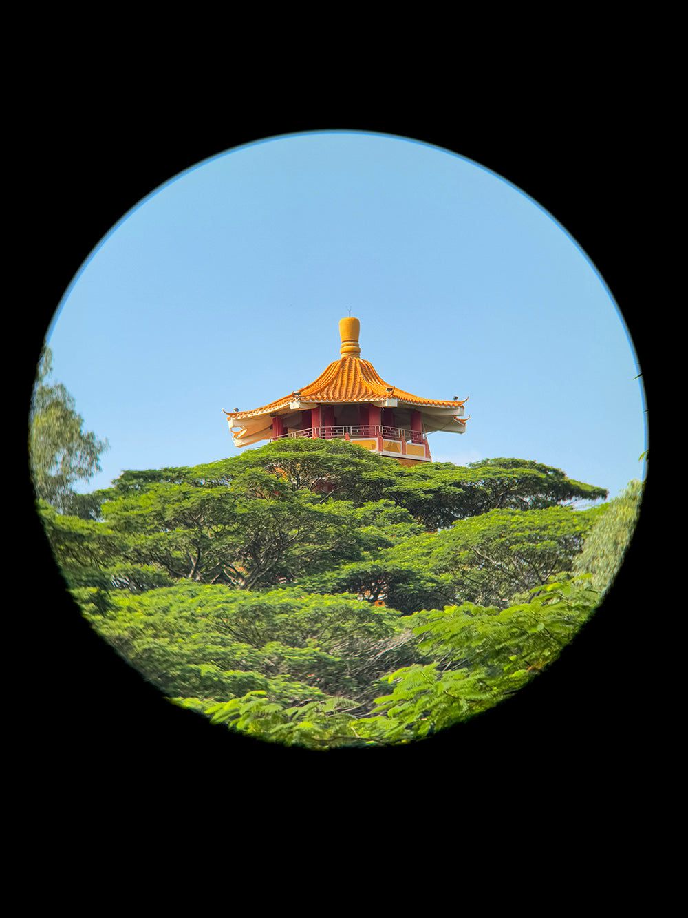 iPhone 17 Pro 1X Camera + Apexel TeleMacro Pro 10X Tele.Traditional pagoda structure among green trees with a clear blue sky.