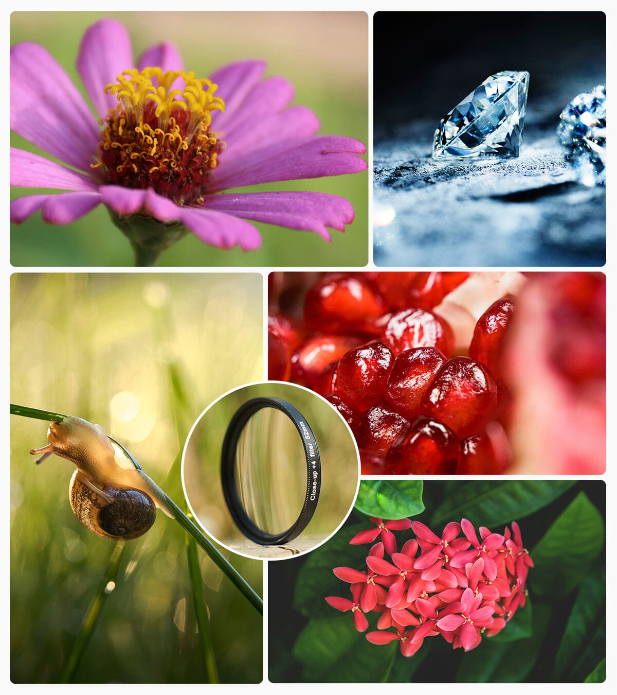 APEXEL Phone Lens 52mm/67mm Macro Shooting Magnification Filter APEXEL