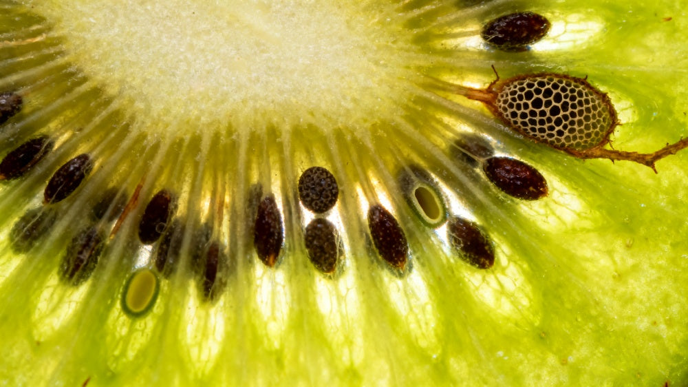 Close-up of a kiwi fruit with seeds APEXEL TriScope 80X Phone Microscope Lens Shoot