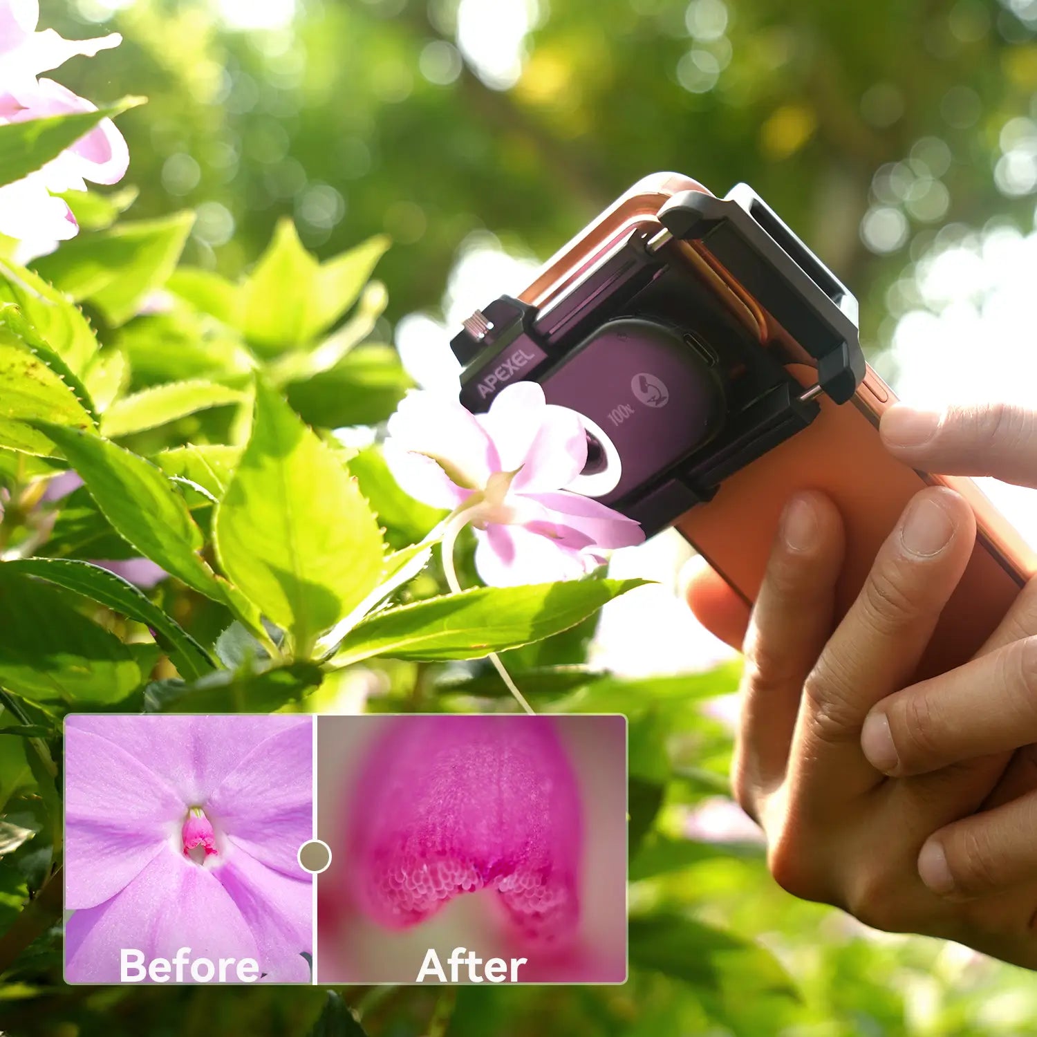 PhoneMicro 5 Smartphone Microscope APEXEL