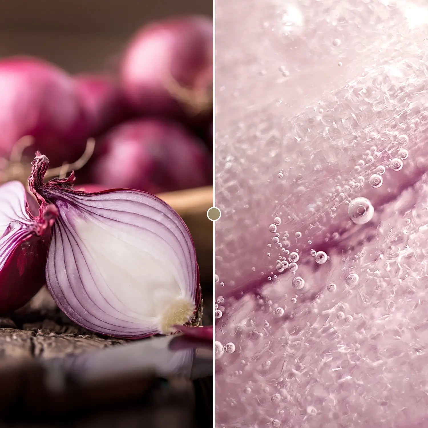 PhoneMicro 5 Smartphone Microscope APEXEL