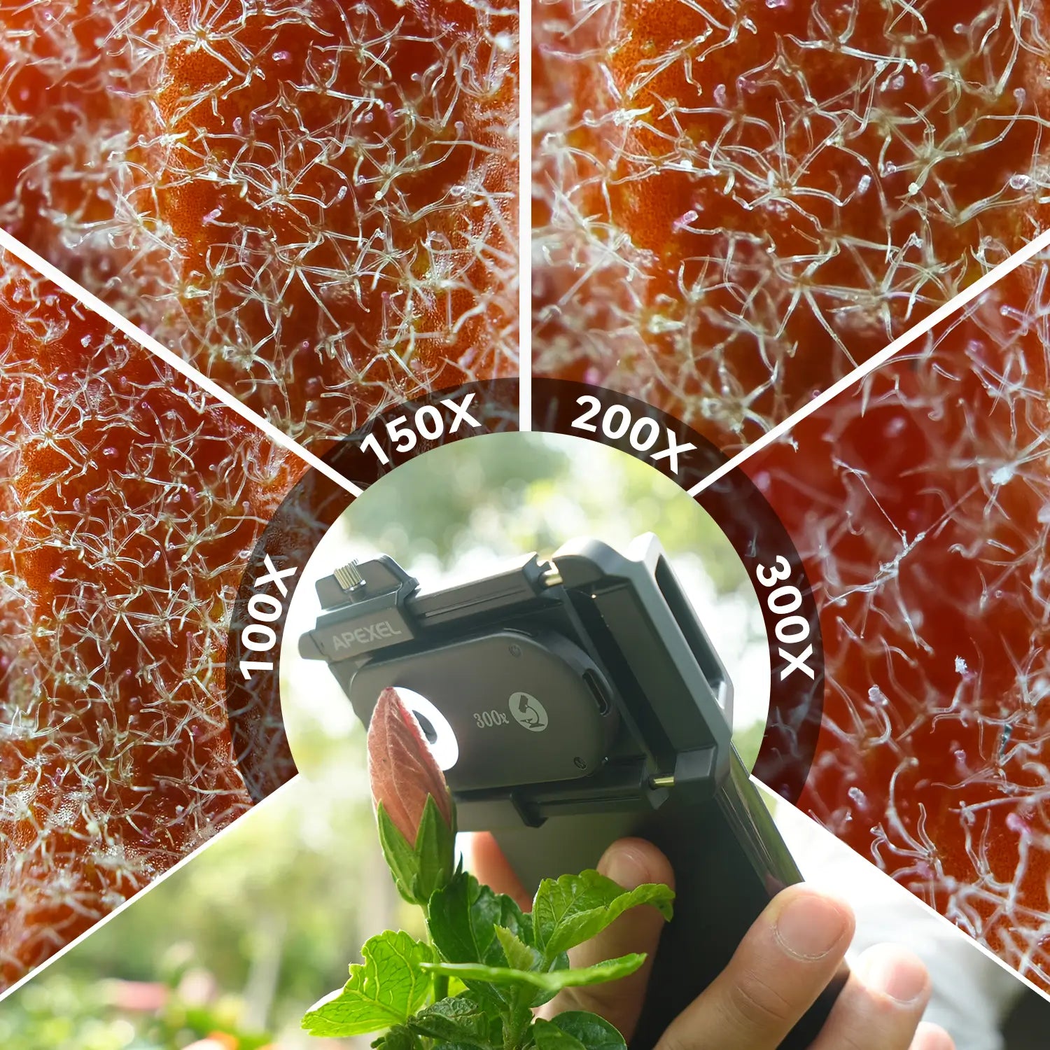 PhoneMicro 5 Smartphone Microscope APEXEL