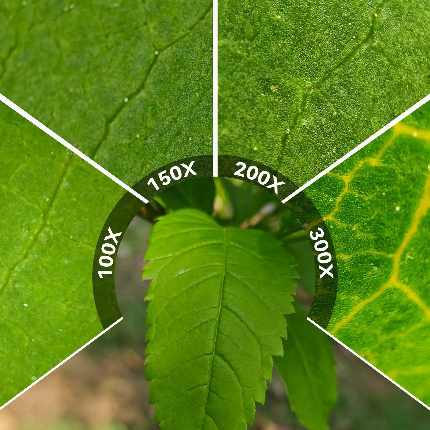 PhoneMicro 5 Smartphone Microscope APEXEL