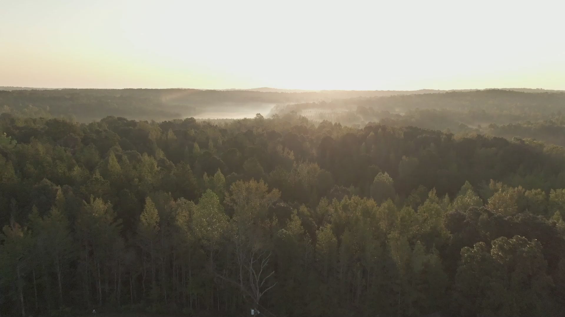 Load video: Apexel Story