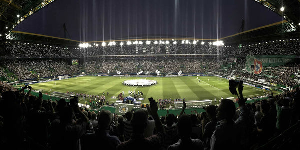 Binoculars: Your Must-Have Essential for EURO 2024
