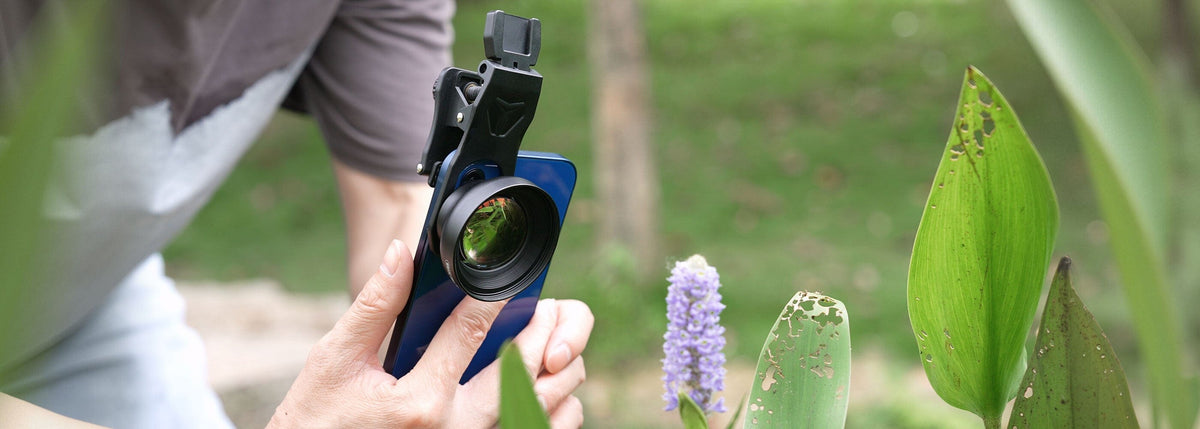 How to Capture Professional-Grade Photos with Your Smartphone Using Ap ...