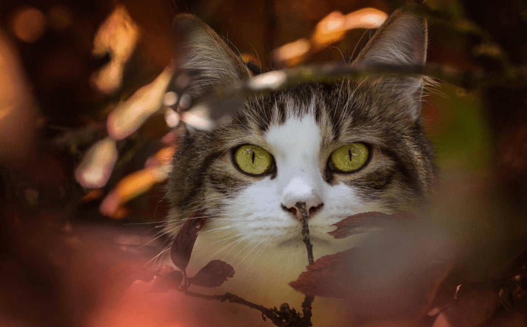 How do you define photography?