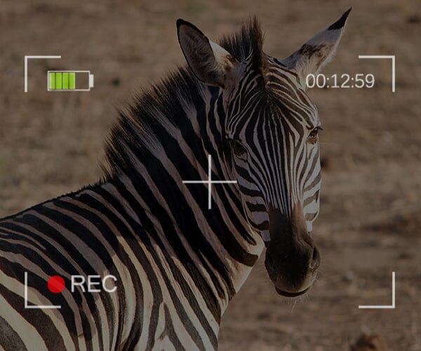 10 Essential Tips to Instantly Improve Your Smartphone Photography (Beginner-Friendly)