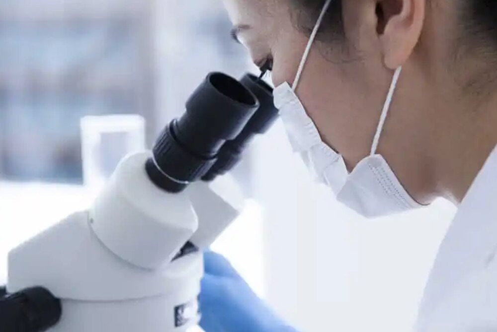 Tauchen Sie ein in die Welt der Polarisationslichtmikroskopie