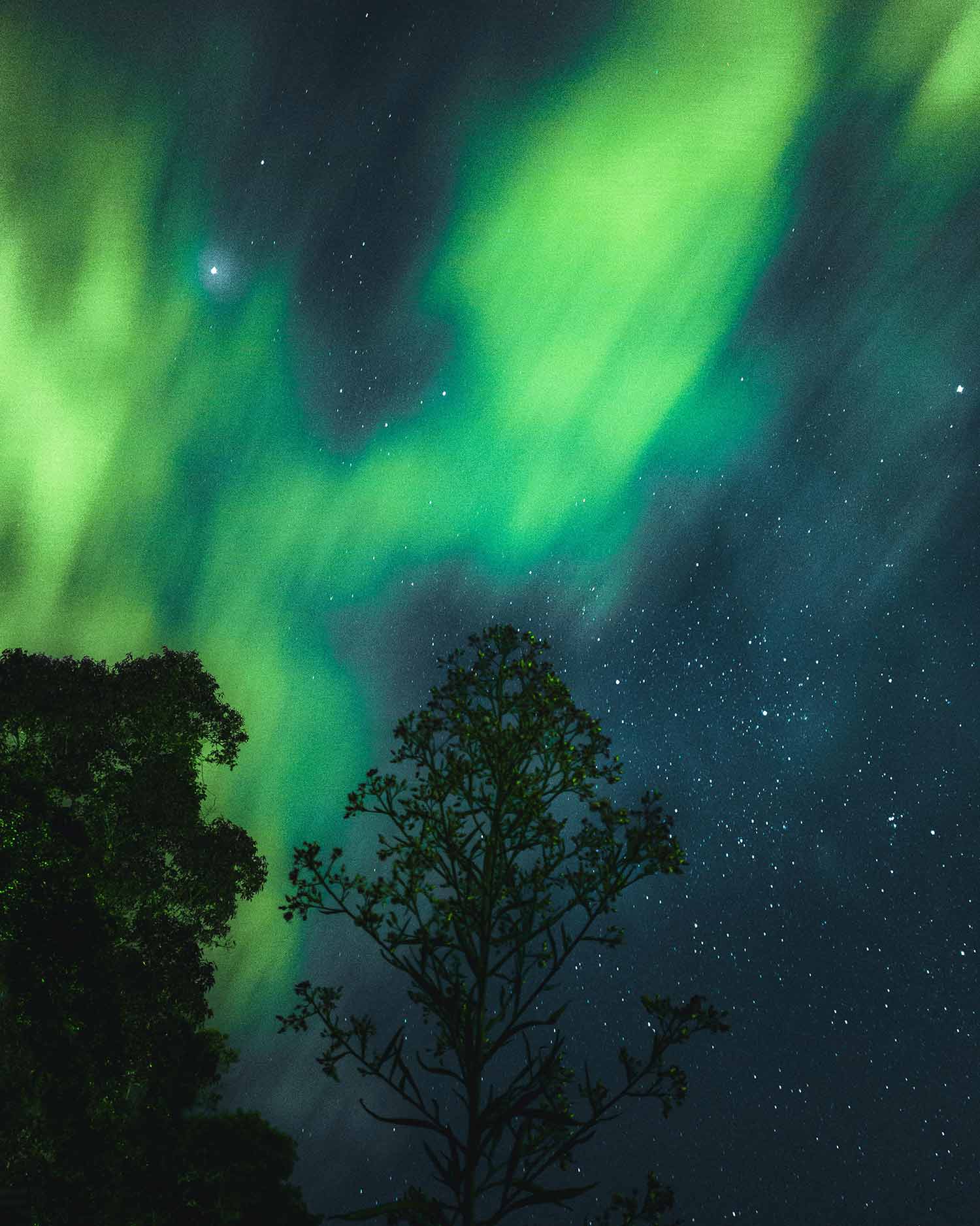 Astrofotografie-Tipps mit Zusatzobjektiven für Mobiltelefone