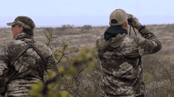 Spotting Wildlife: Using Binoculars to Enhance Your Tree Stand Photography Experience