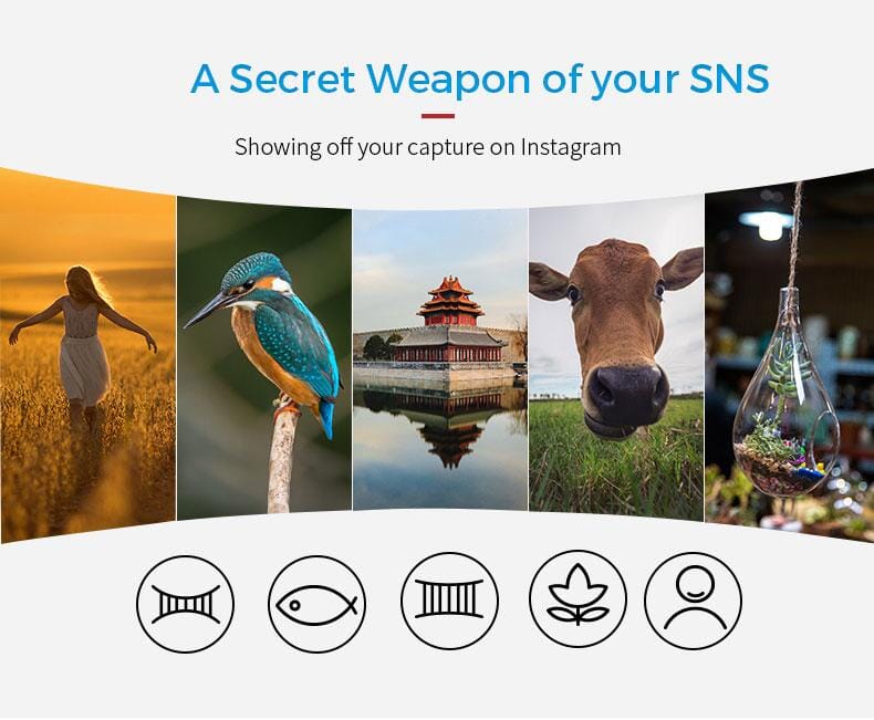 The Ultimate Guide for New Aspiring Mobile Photographers