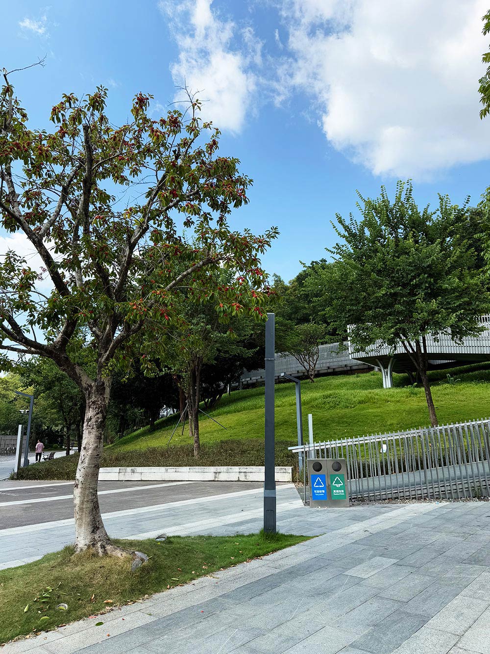Paved pathway with trees and a clear blue sky APEXEL
