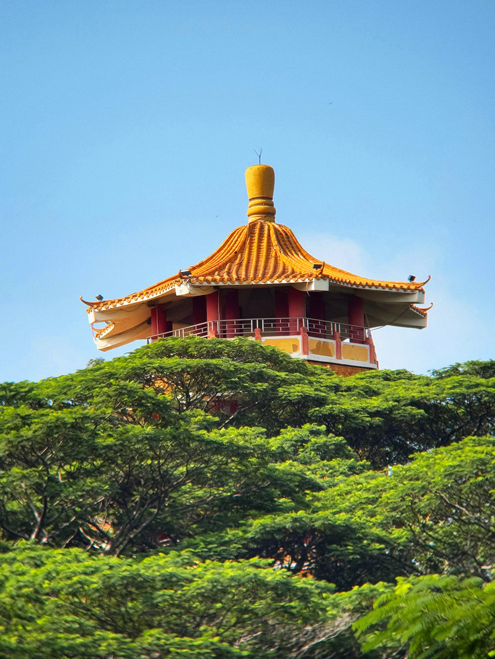 iPhone 17 Pro 2X Camera + Apexel TeleMacro Pro 10X Telephoto Lens
.Traditional pagoda-style building amidst green trees with a clear blue sky