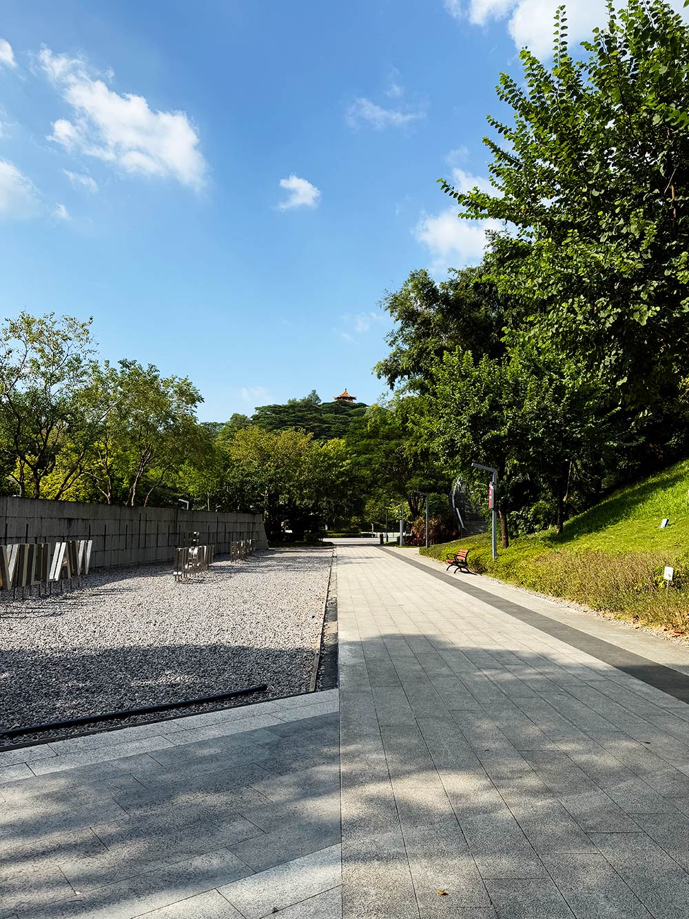 Paved pathway in a park with trees and clear blue sky iPhone 17 Pro Native 1X Camera