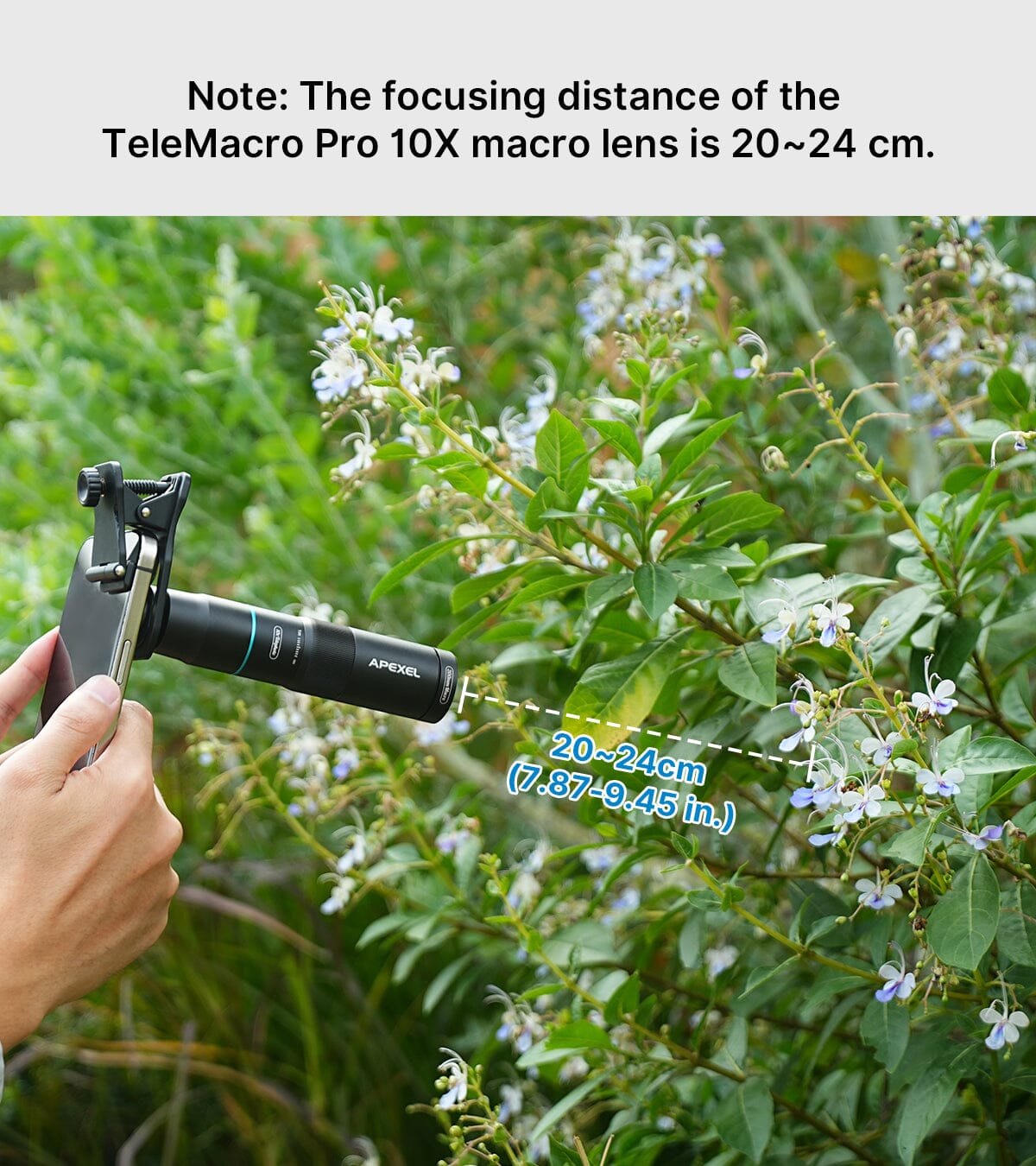 TeleMacro Pro 10X 2-in-1 Telephoto & Macro Lens Mobile Photography Accessories APEXEL 