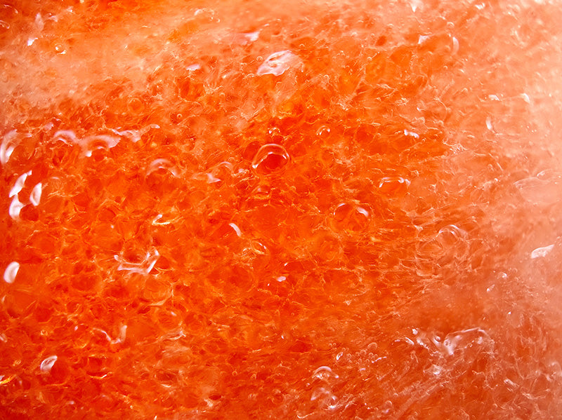 PhoneMicro 5 Tomato under the microscope