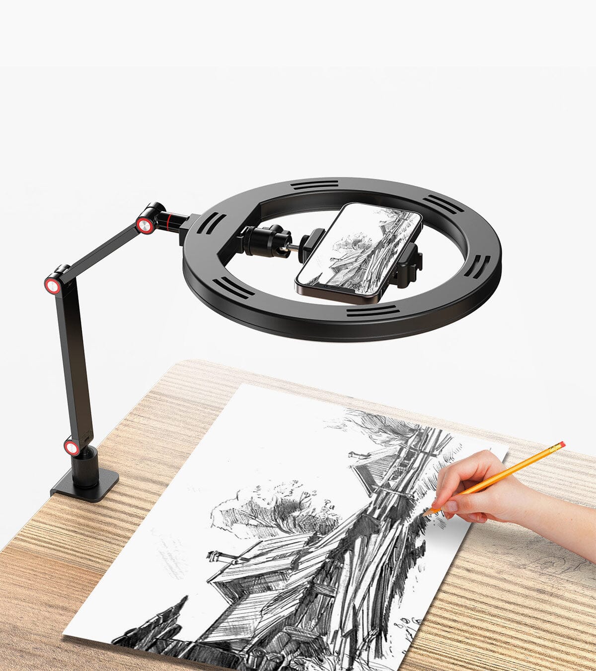 FL20 10 Inch Ring Light Foldable Portable with Stand and Phone Holder APEXEL 