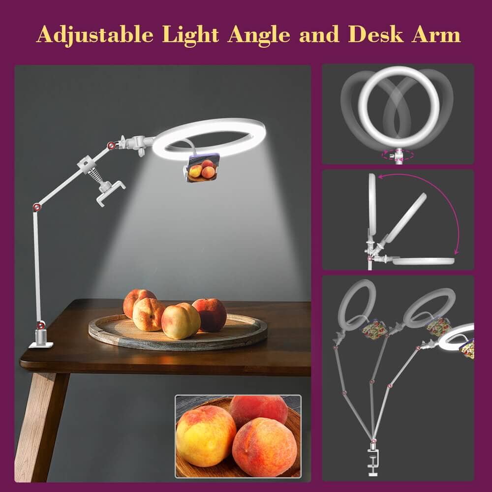 FL20 10 Inch Ring Light Foldable Portable with Stand and Phone Holder APEXEL 