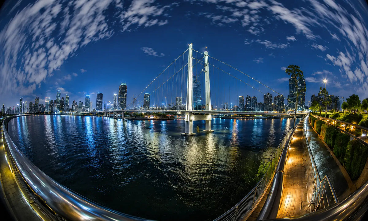 FE210 Full-Screen Fisheye