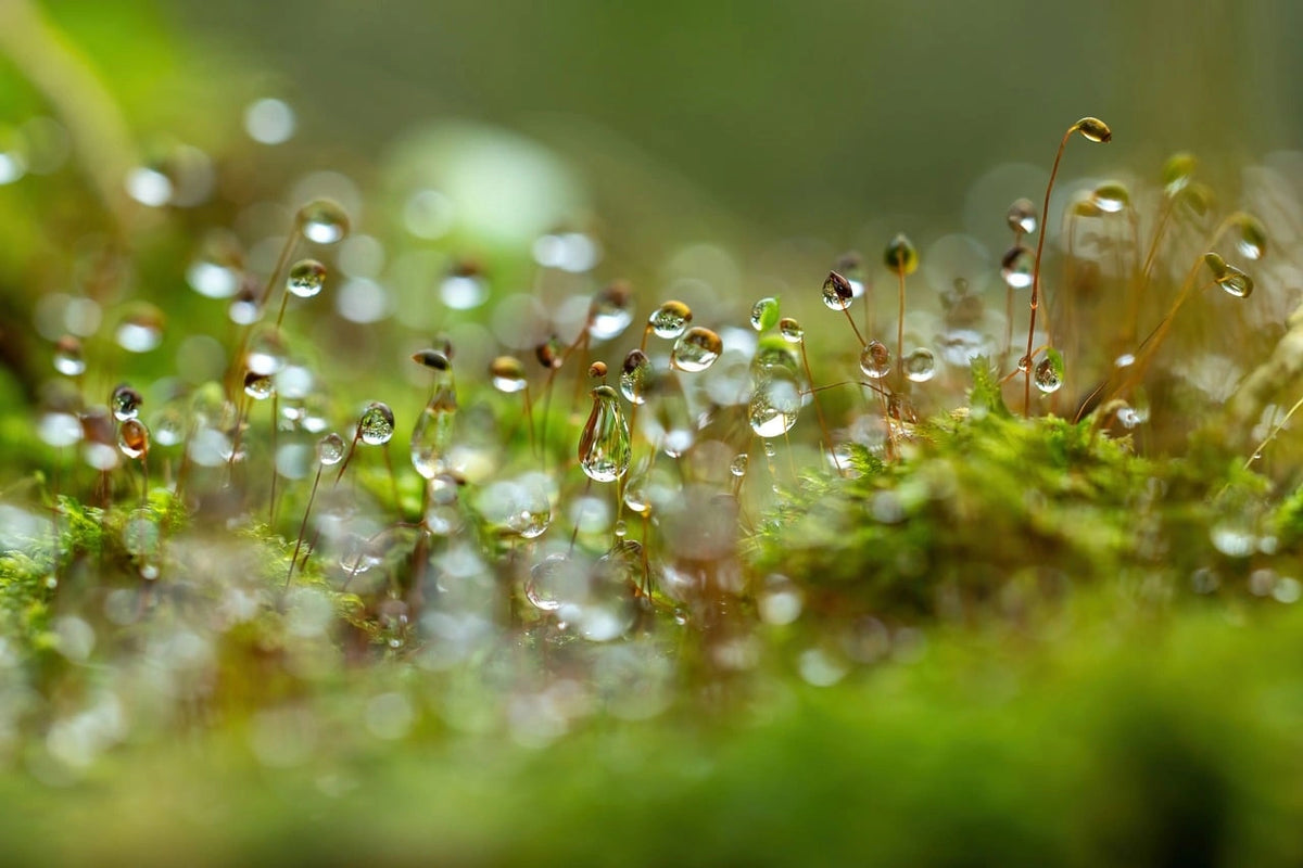 Everyday Macro