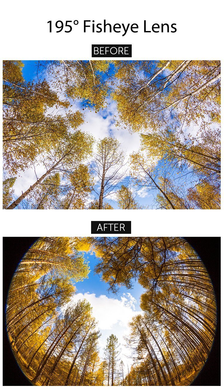 195° Fisheye Lens for Mobile Cell Phone APEXEL 